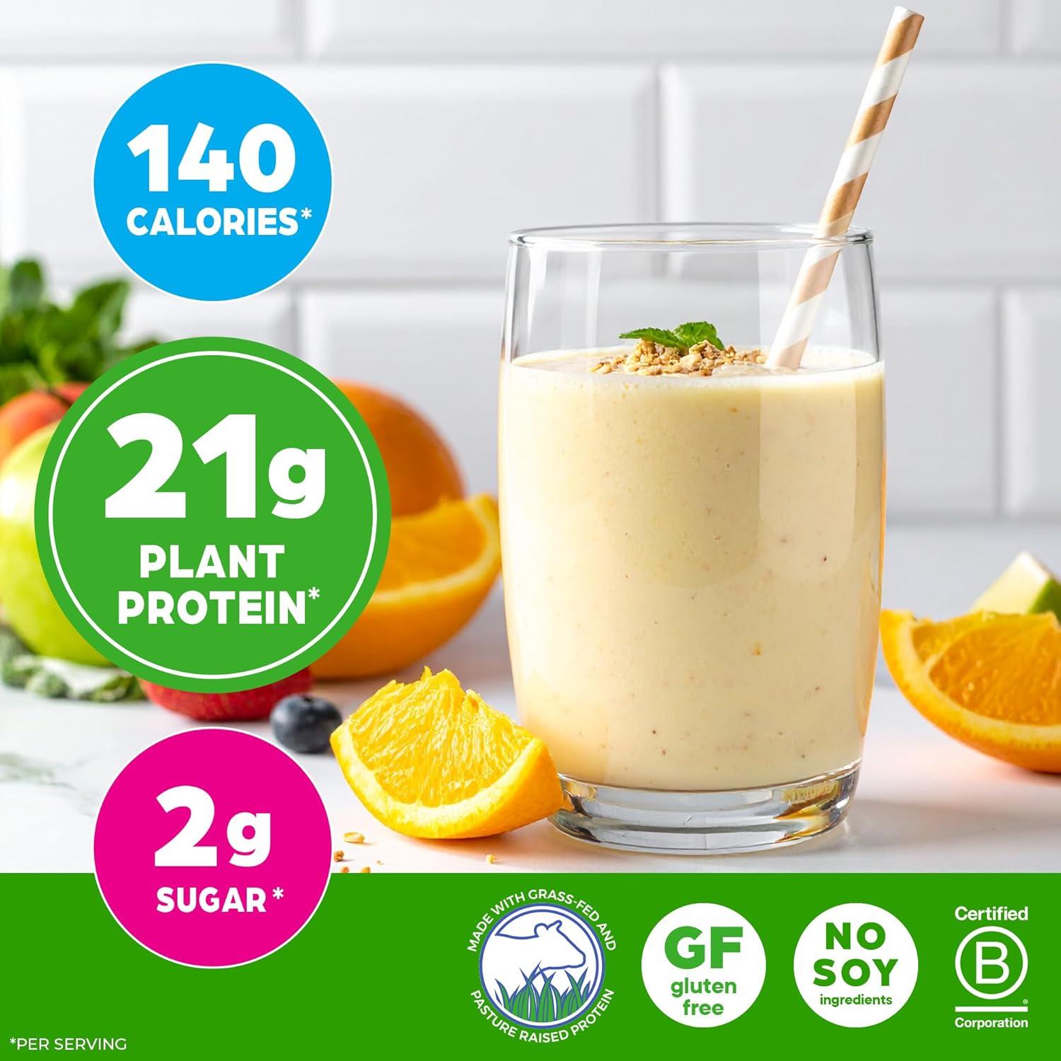 image:imageOrgain Whey Protein Powder Creamy Chocolate Fudge 21g Grass Fed Dairy Protein 5g BCAAs 4g Prebiotic Fiber 2g Sugar No Added Hormones Gluten Free Kosher For Shakes amp Smoothies 182lbVanilla Bean